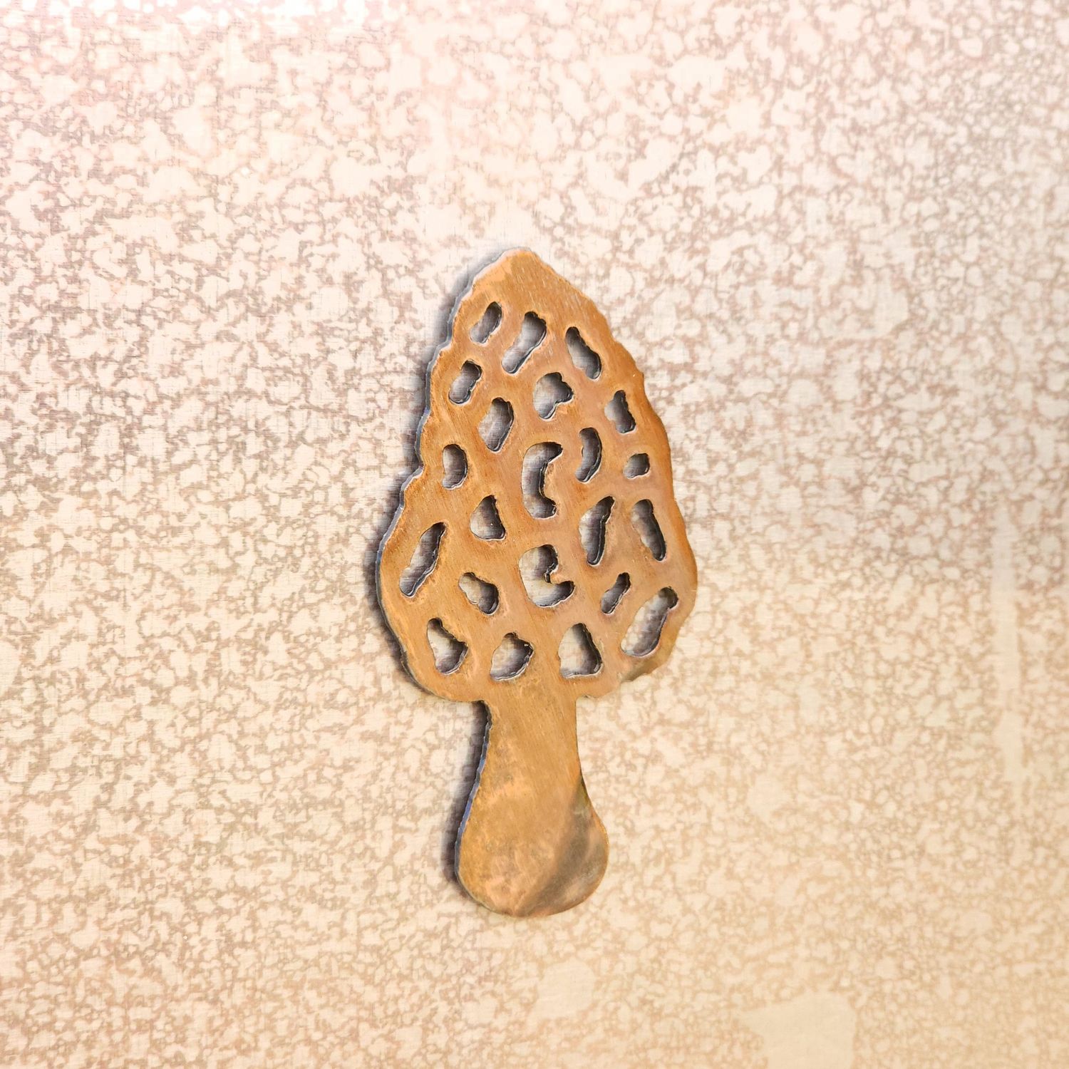 Morel Magnet
