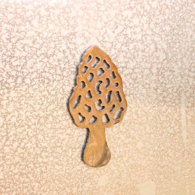 Morel Magnet