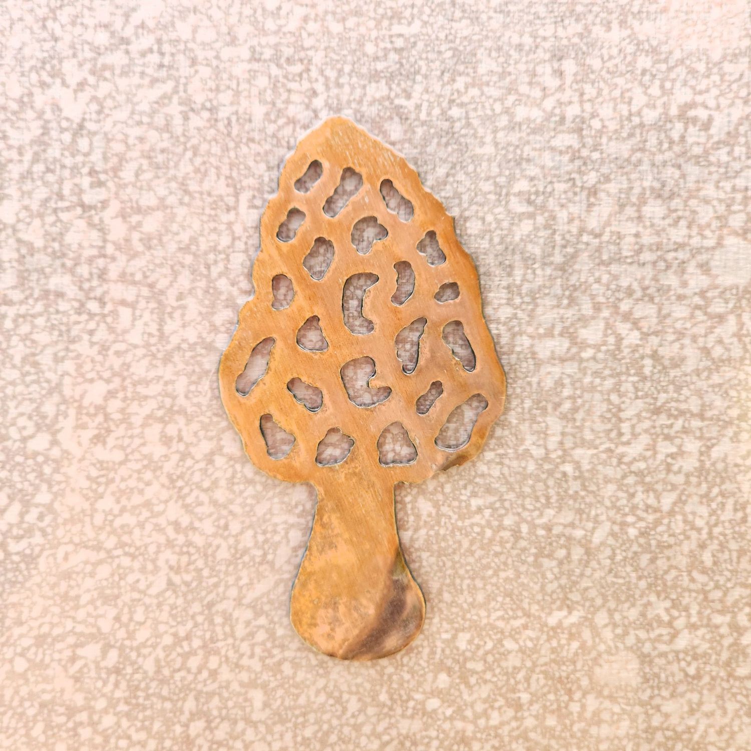 Morel Magnet