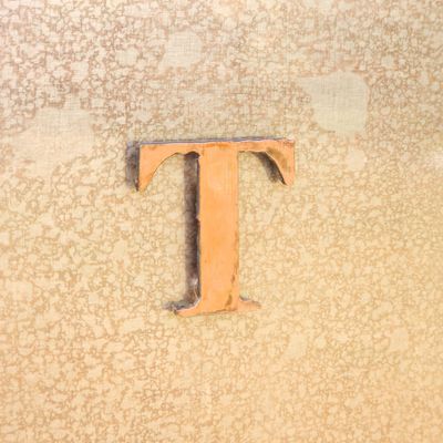 - T - Magnet
