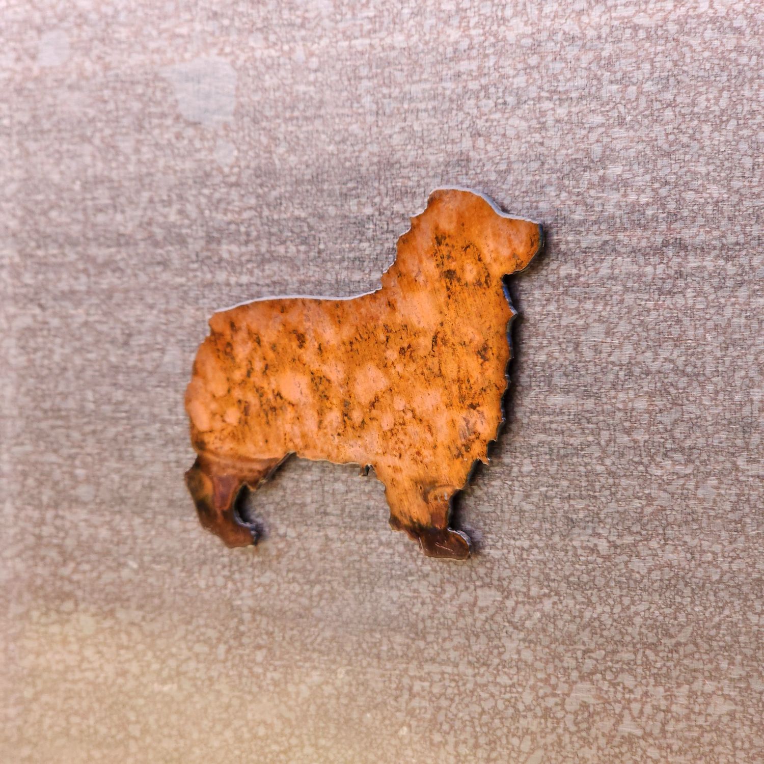 Australian Shepherd Magnet