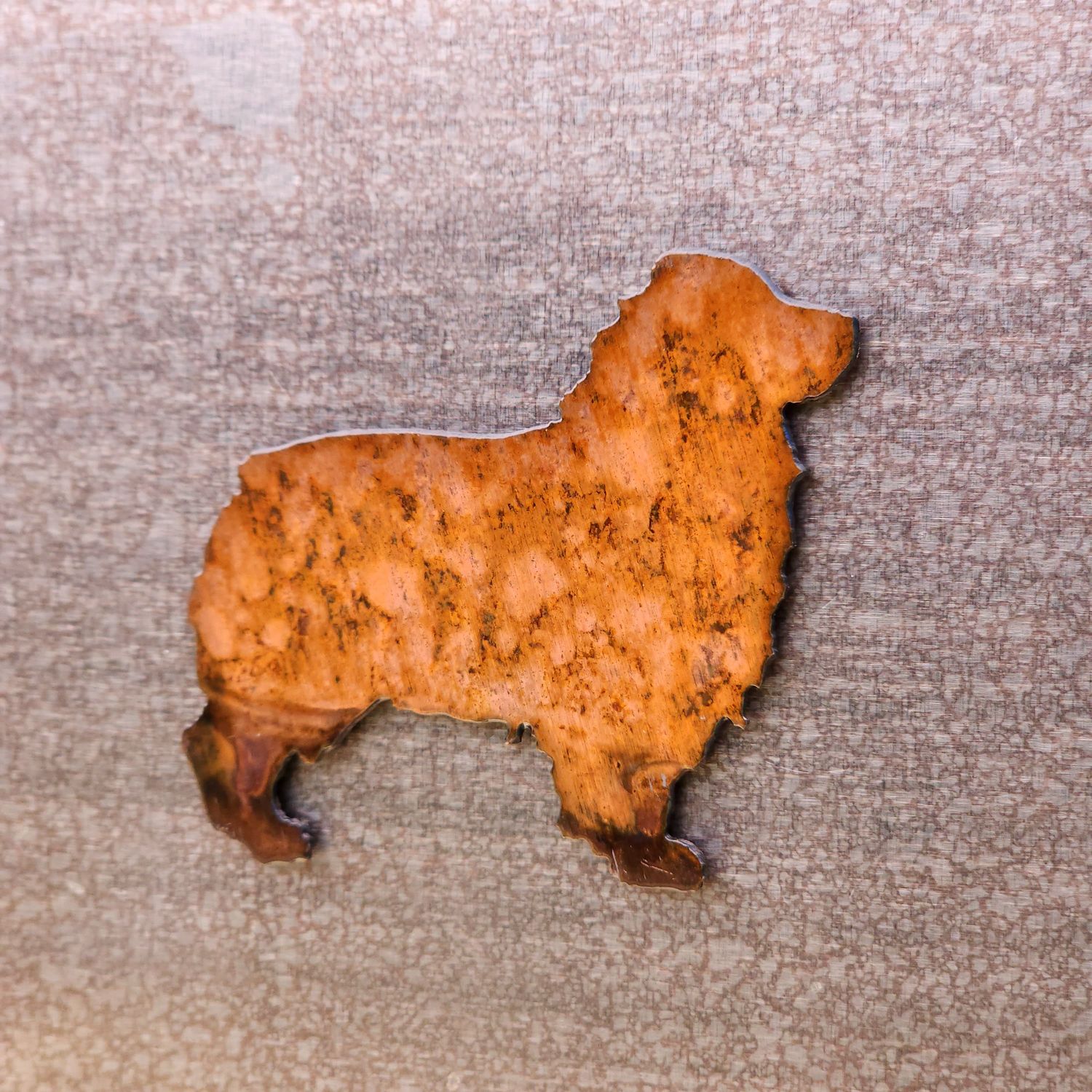 Australian Shepherd Magnet