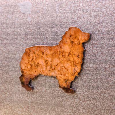 Australian Shepherd Magnet