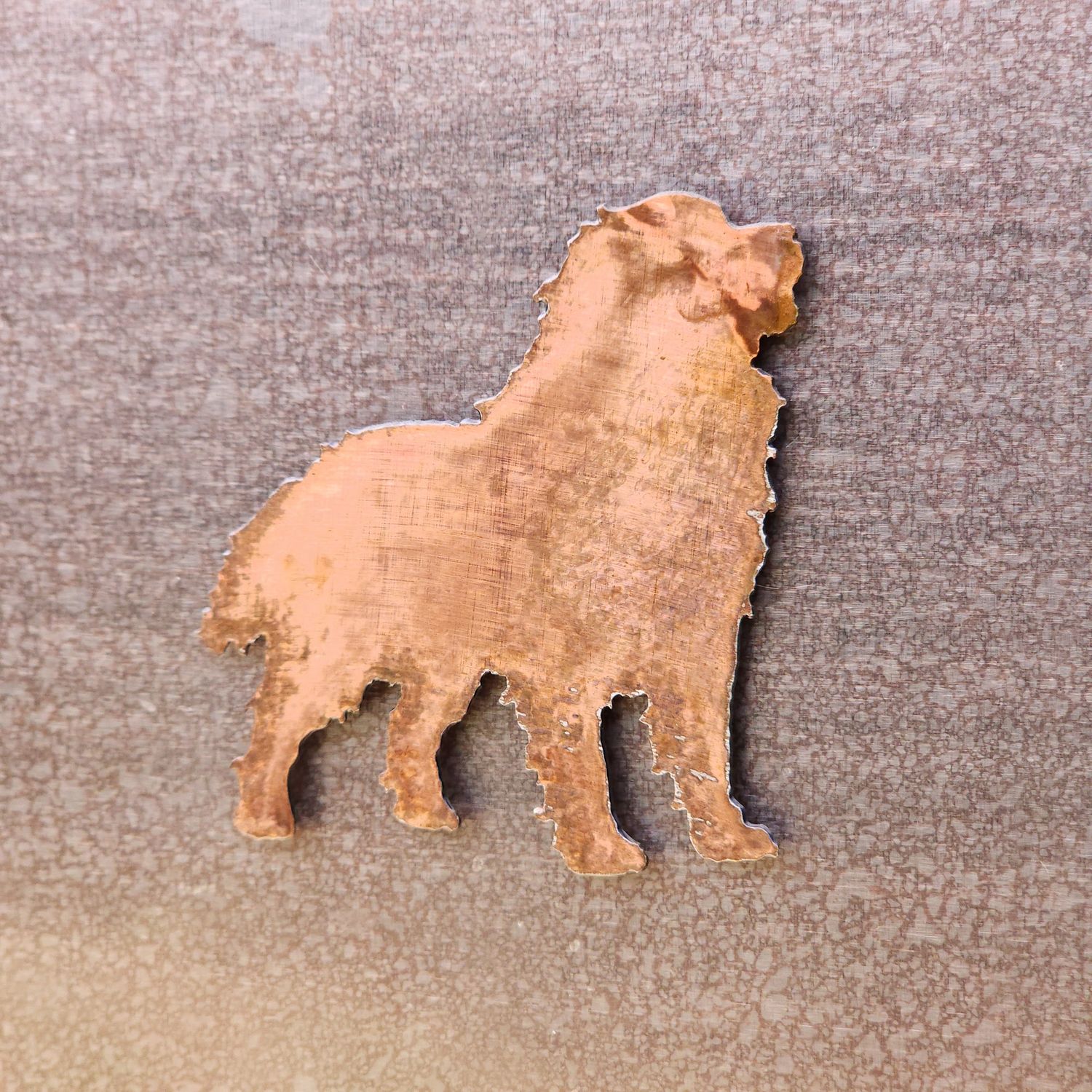 Bernese Mountain Dog Magnet