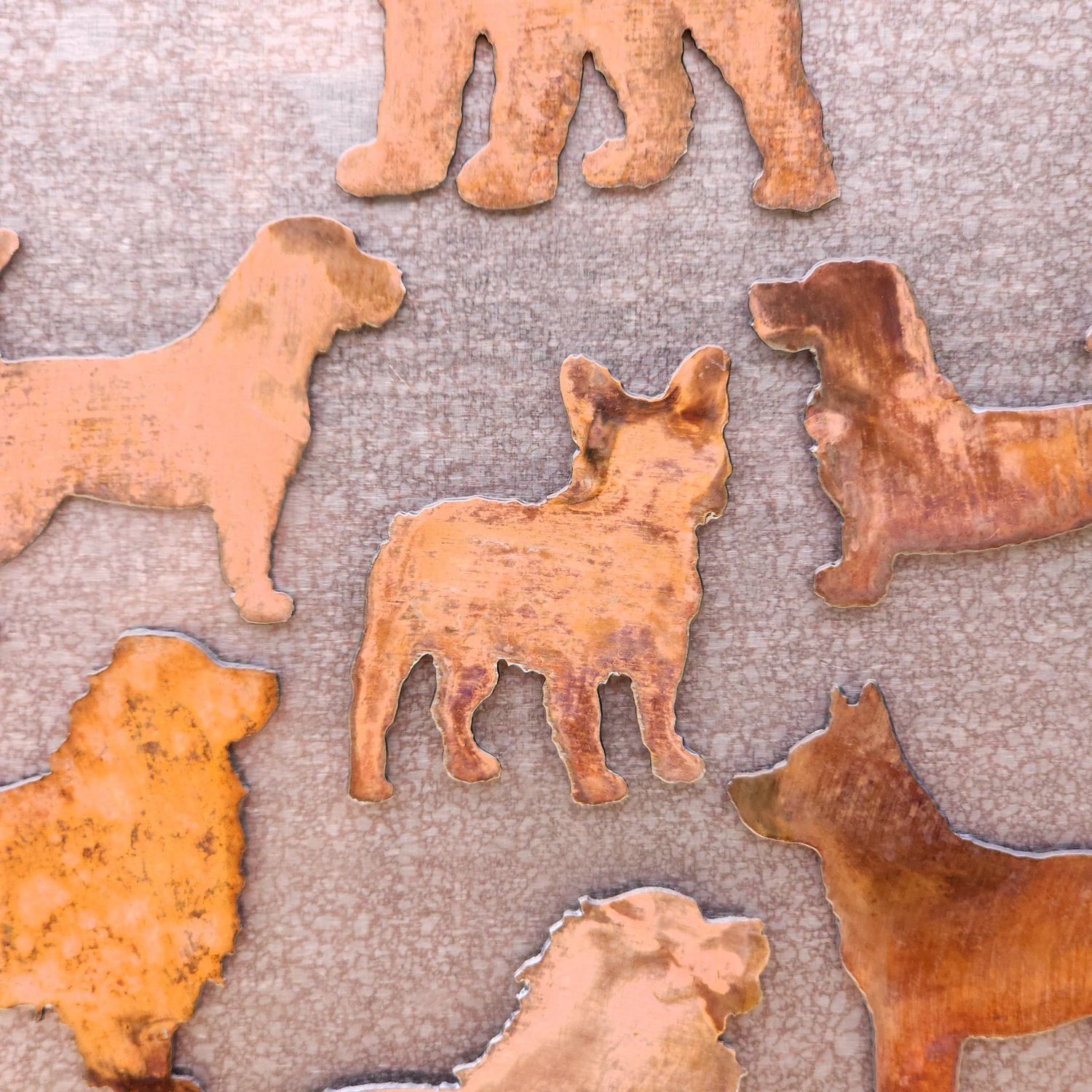 Boston Terrier Magnet