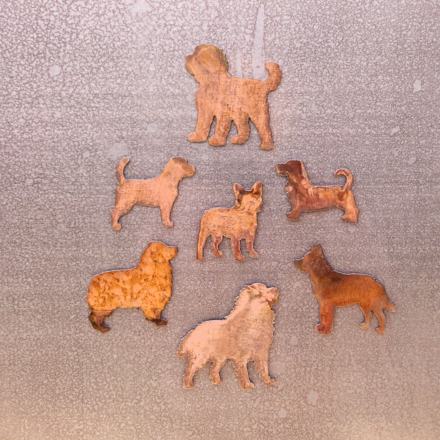 Boston Terrier Magnet