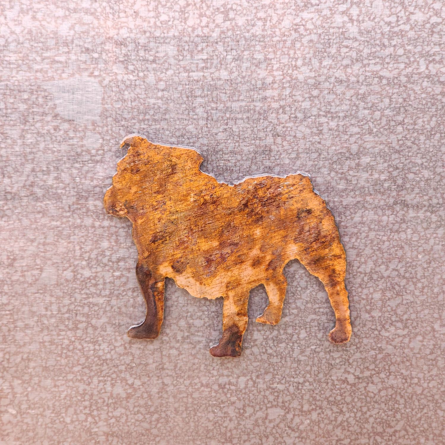 Bulldog Magnet