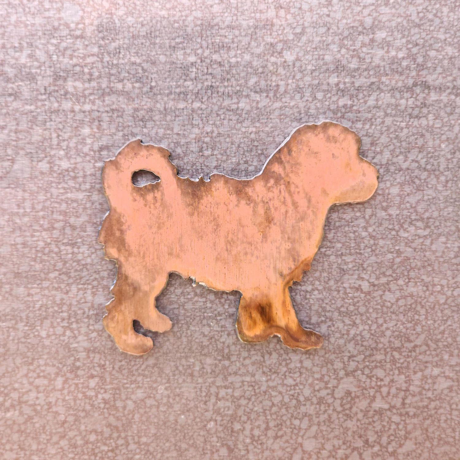 Cavachon Magnet