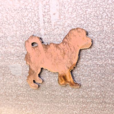 Cavachon Magnet