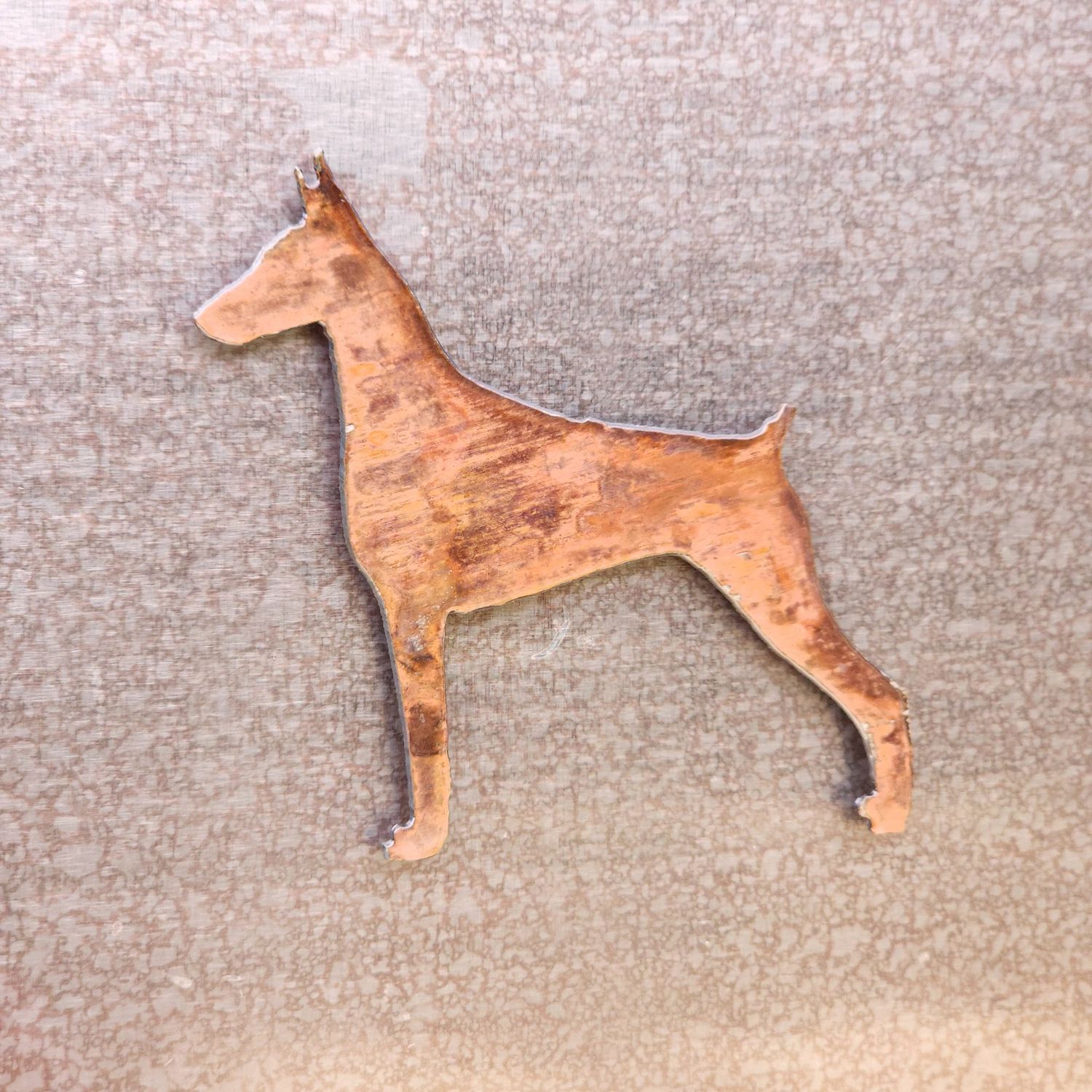 Dobermann Magnet