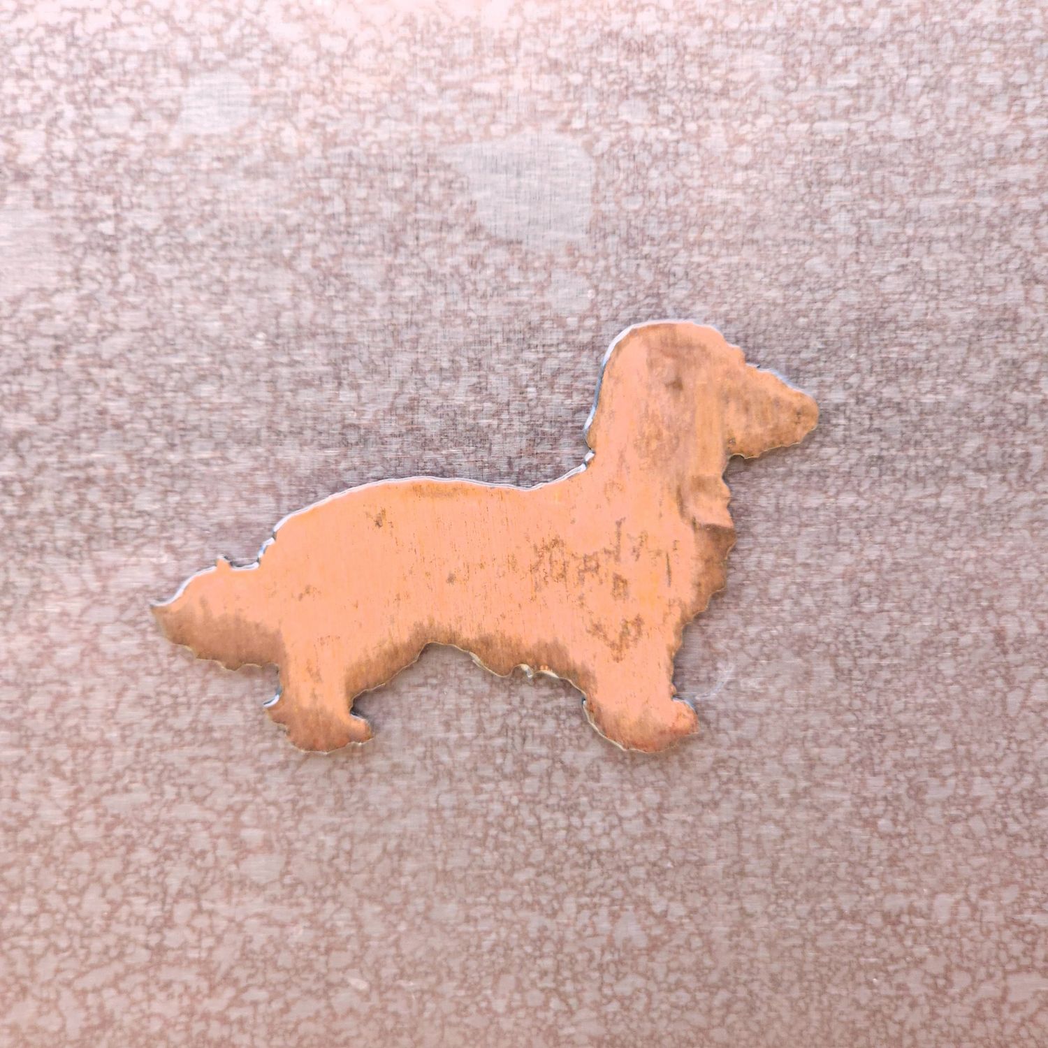 Doxiepoo Magnet