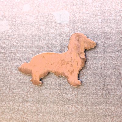 Doxiepoo Magnet