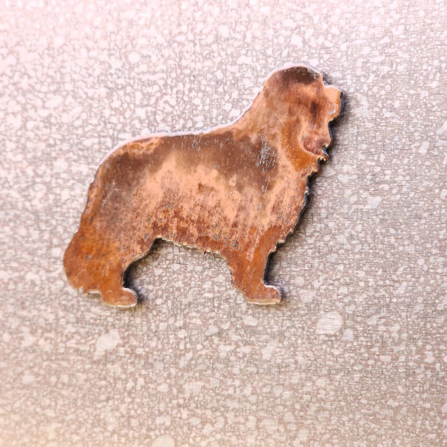 King Charles Spaniel Magnet