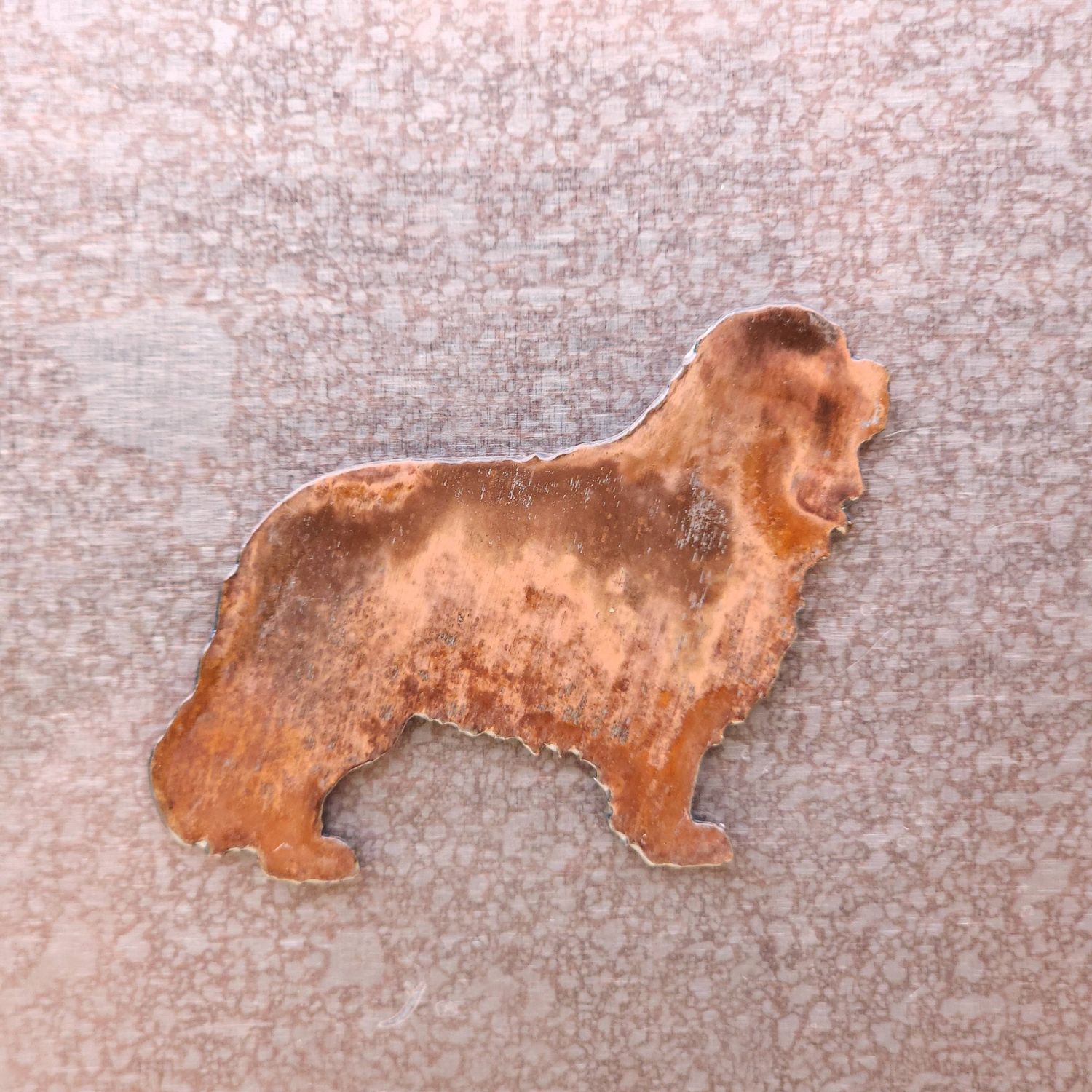 King Charles Spaniel Magnet