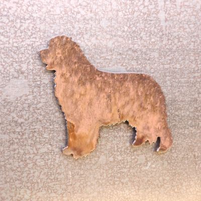 Newfoundland Magnet