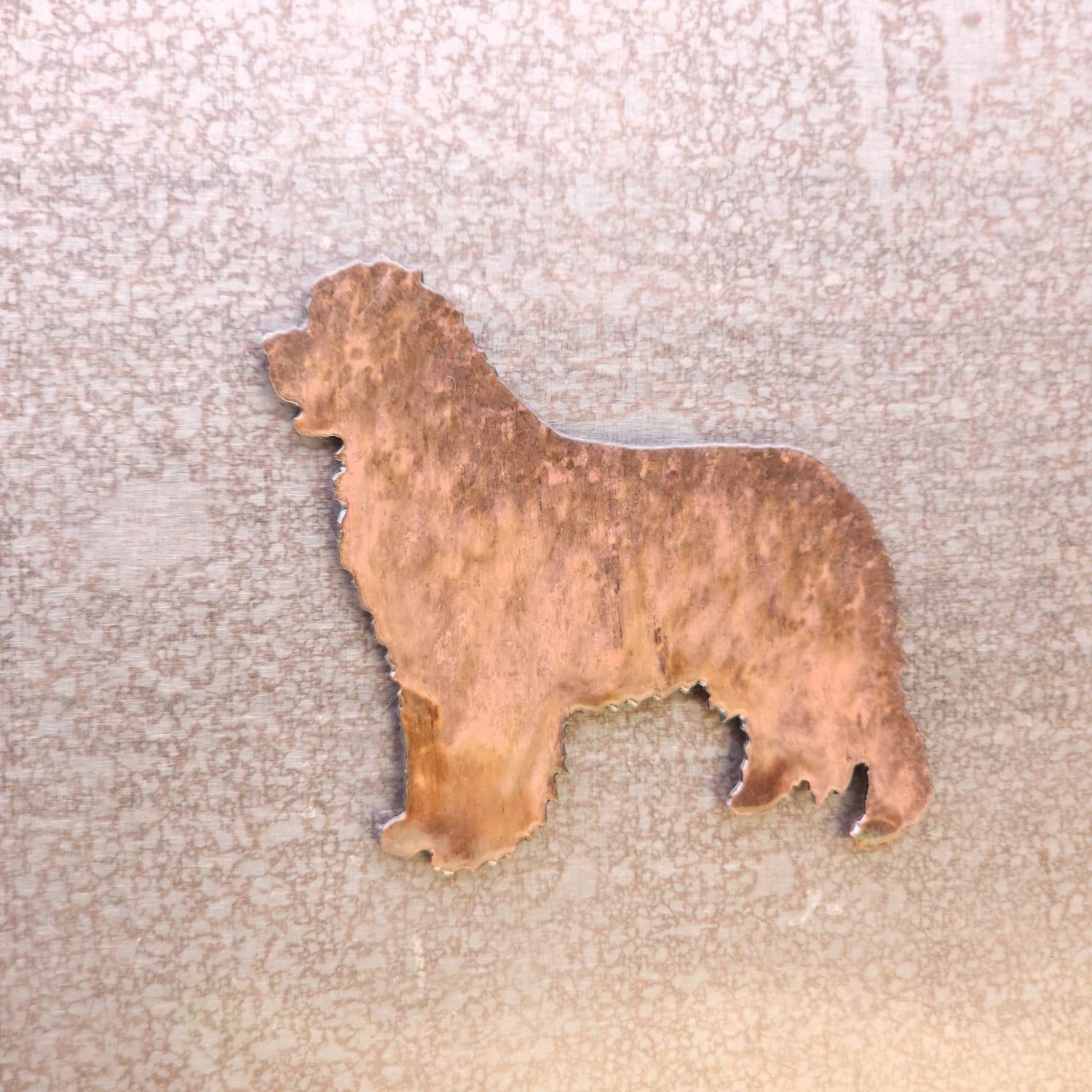 Newfoundland Magnet