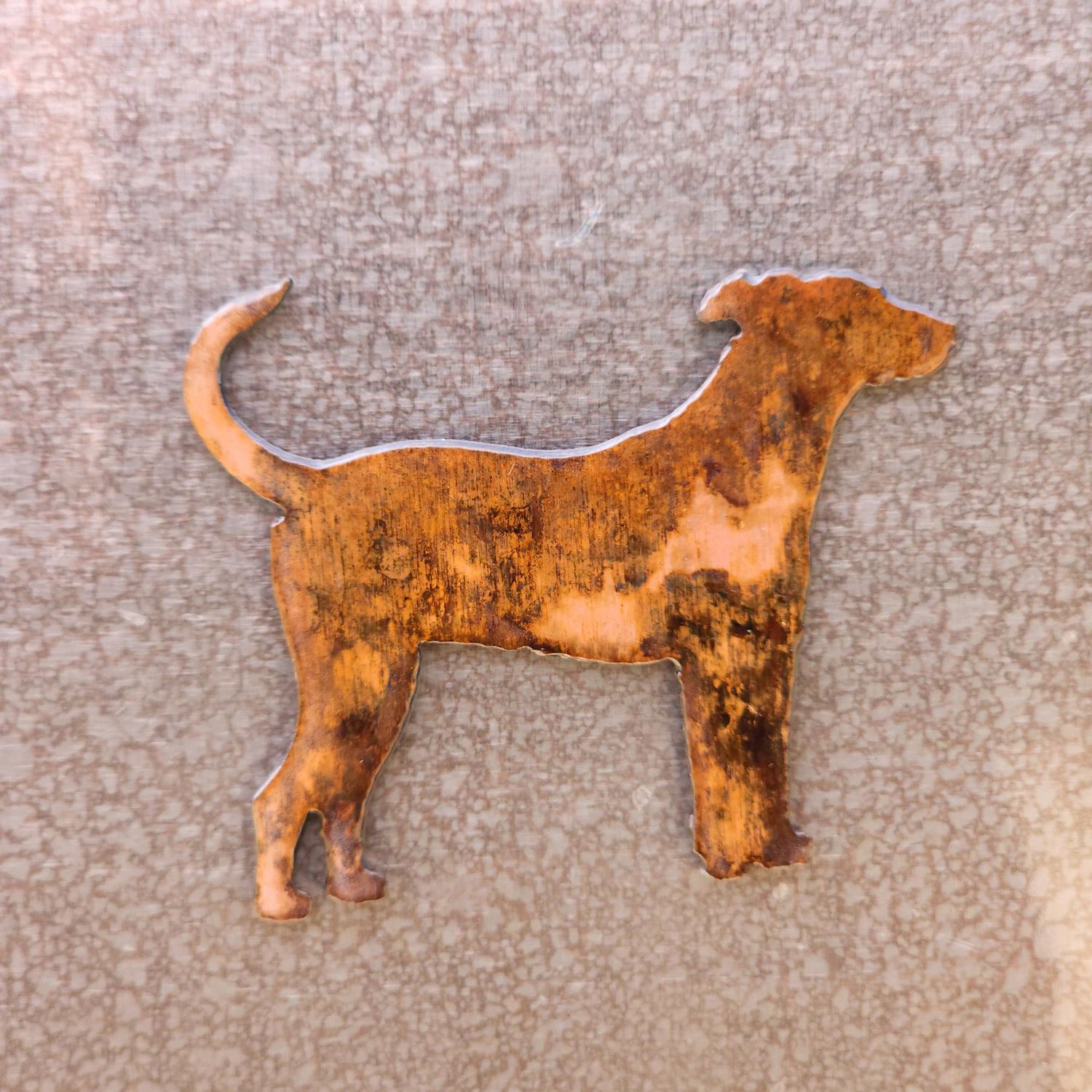 Mini Pinscher Magnet