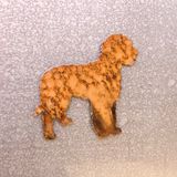 Labradoodle Magnet