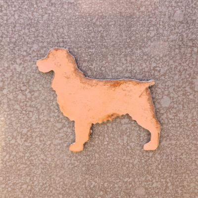 Springer Spaniel Magnet