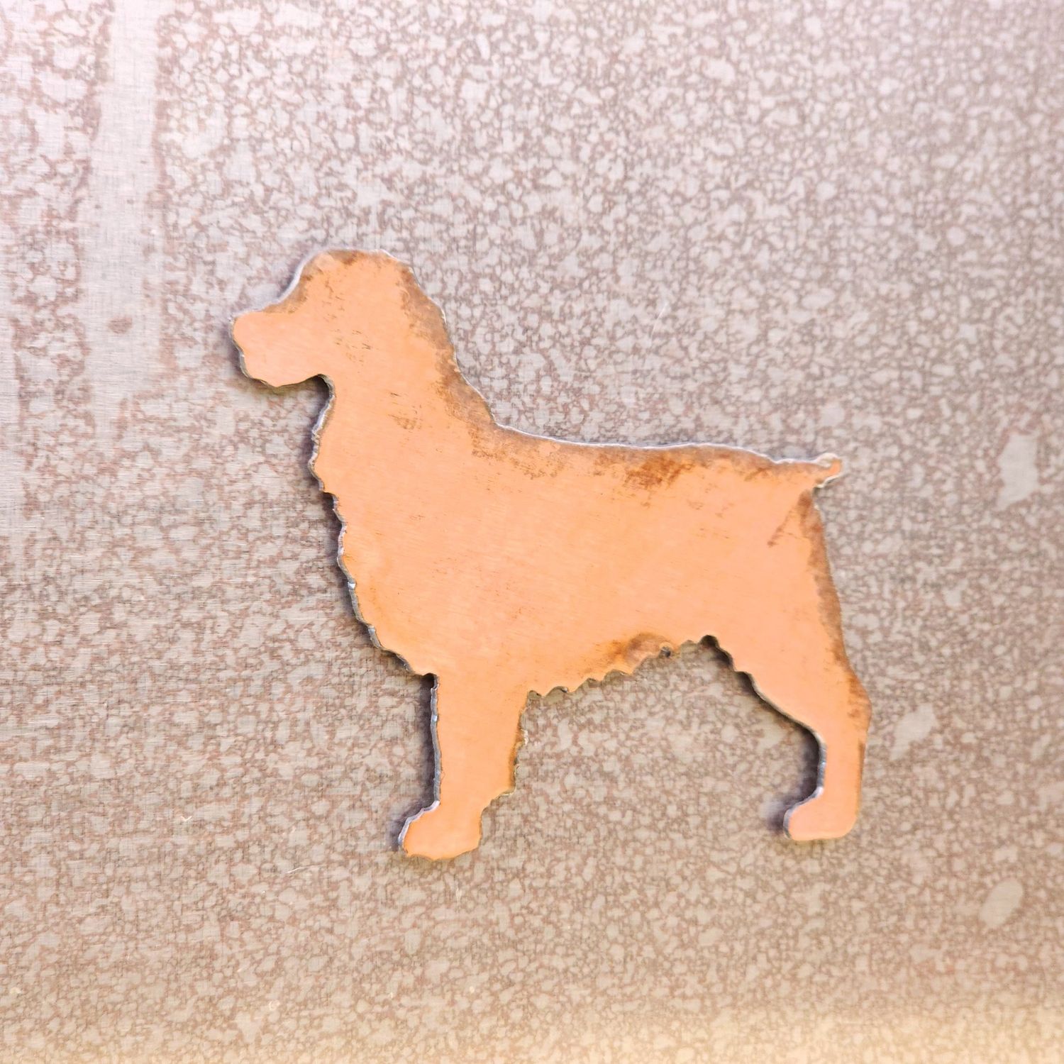 Springer Spaniel Magnet