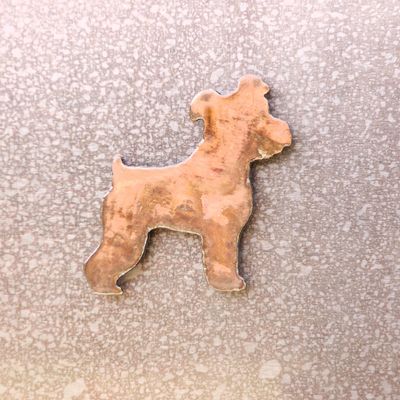 Schnauzer Magnet