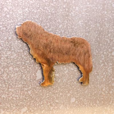 St. Bernard Magnet