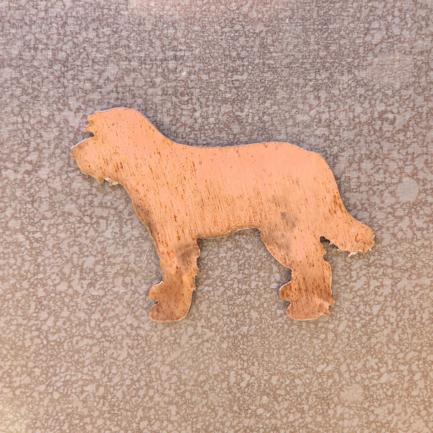 Sheepadoodle Magnet