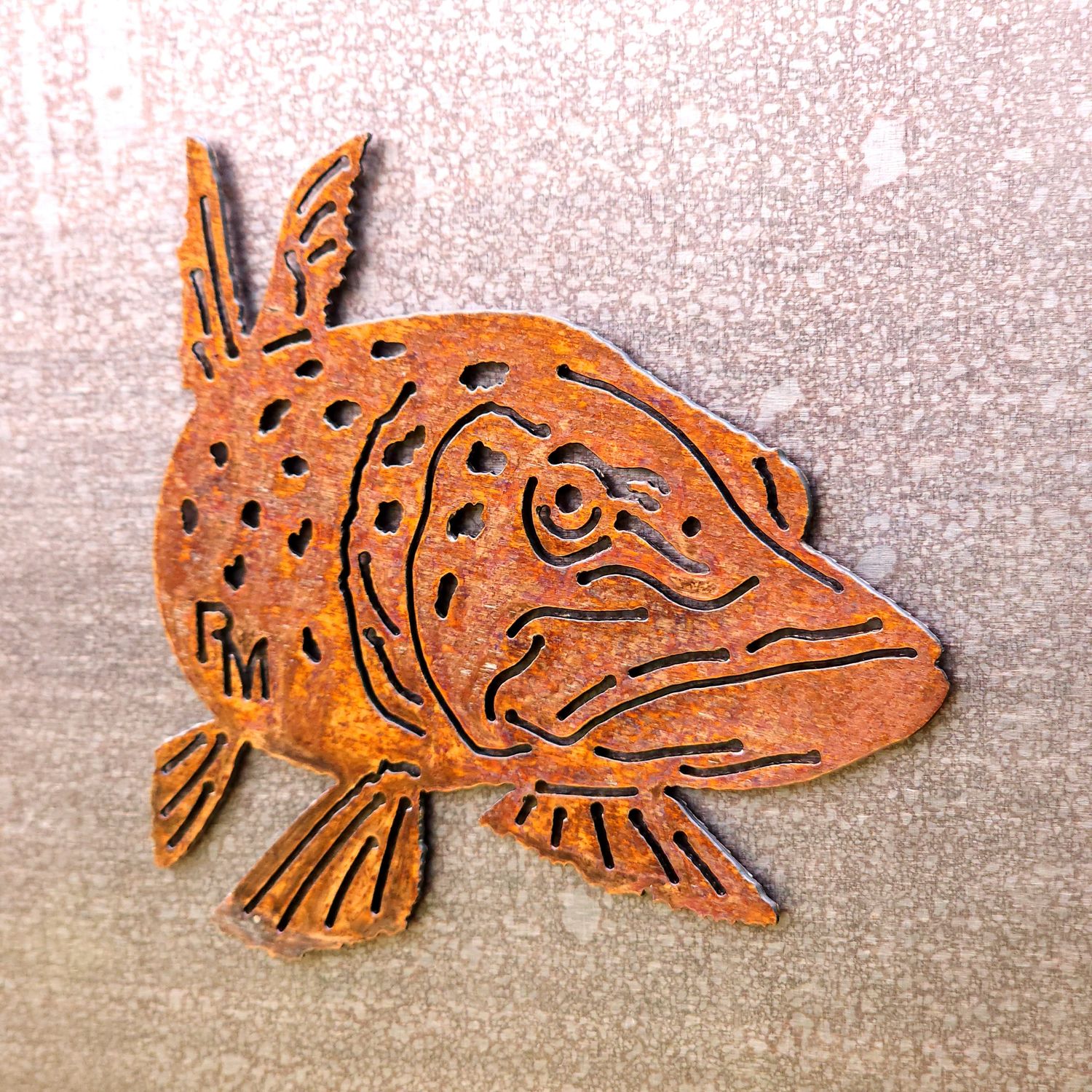 Detailed Fish Magnet Set