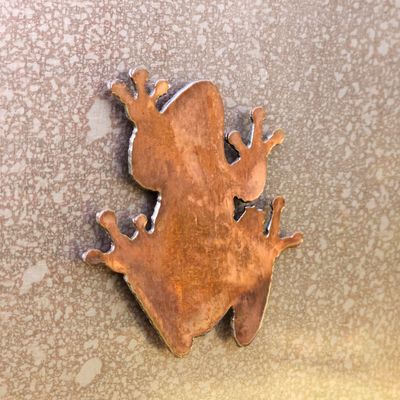 Tree Frog Magnet
