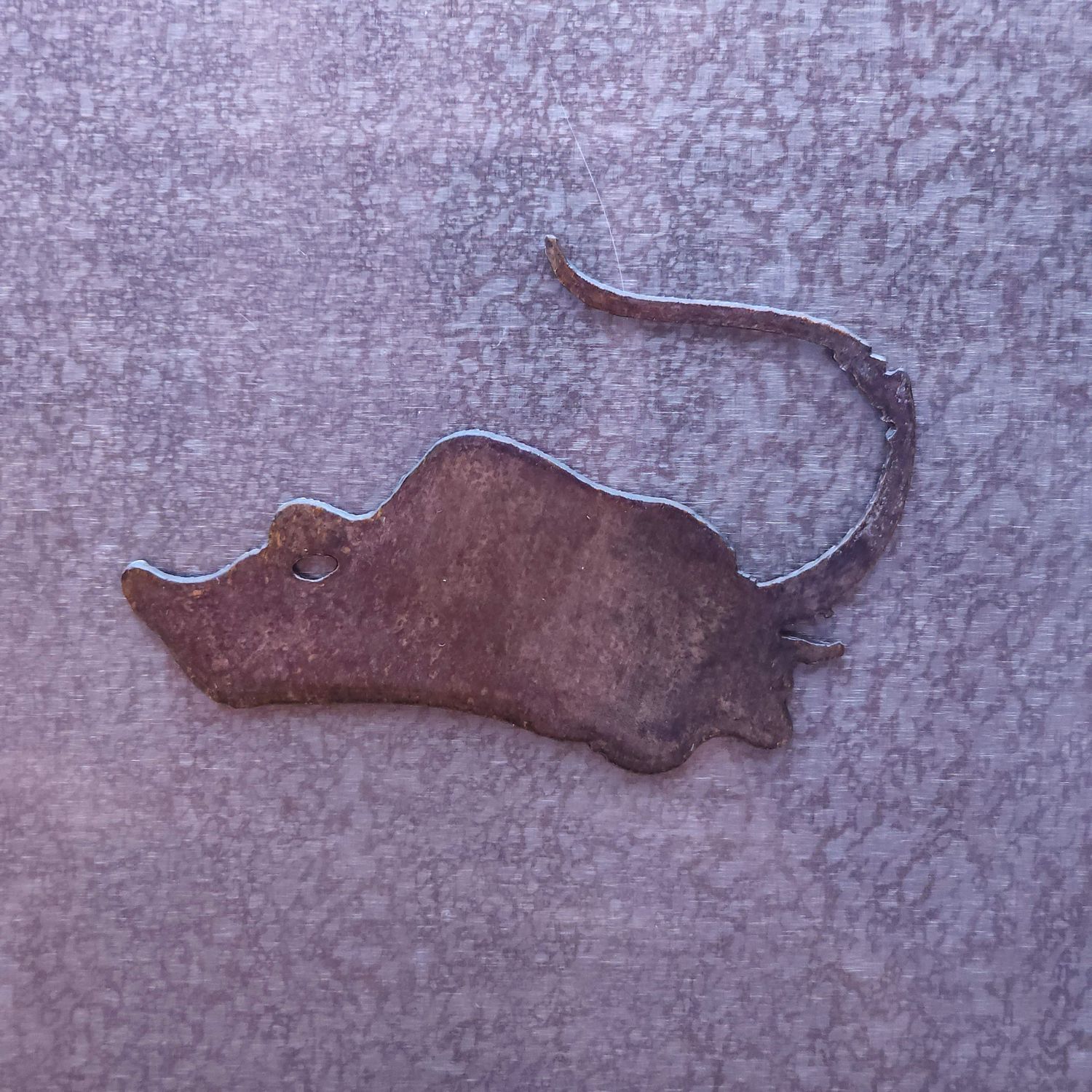 Stingray Magnet