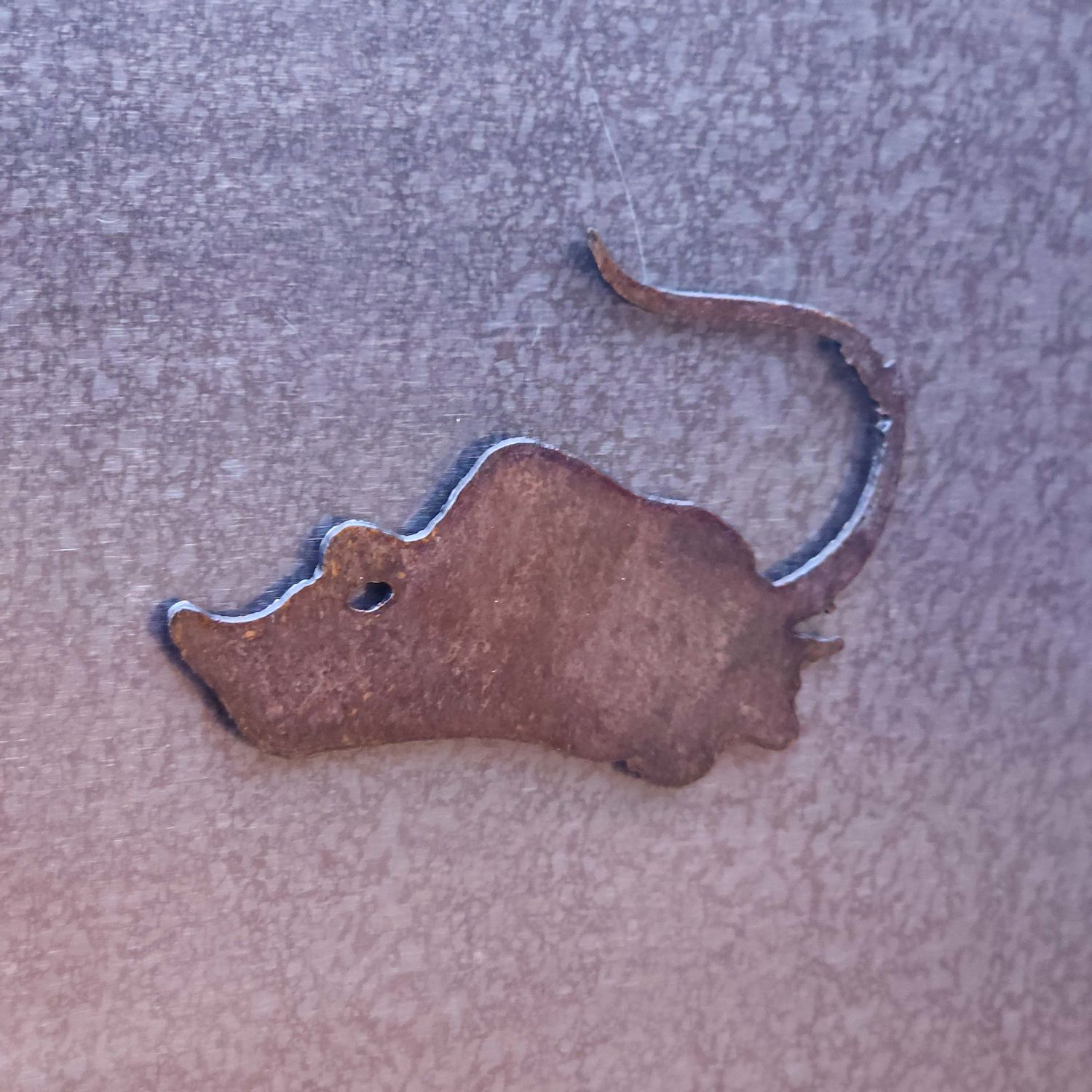 Stingray Magnet