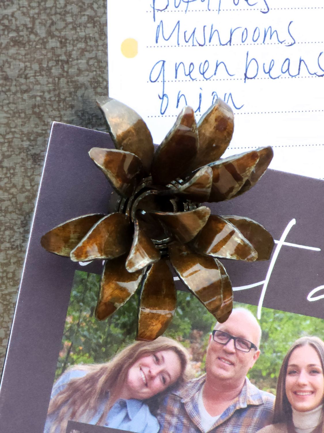 3D Spiky Flower Magnet