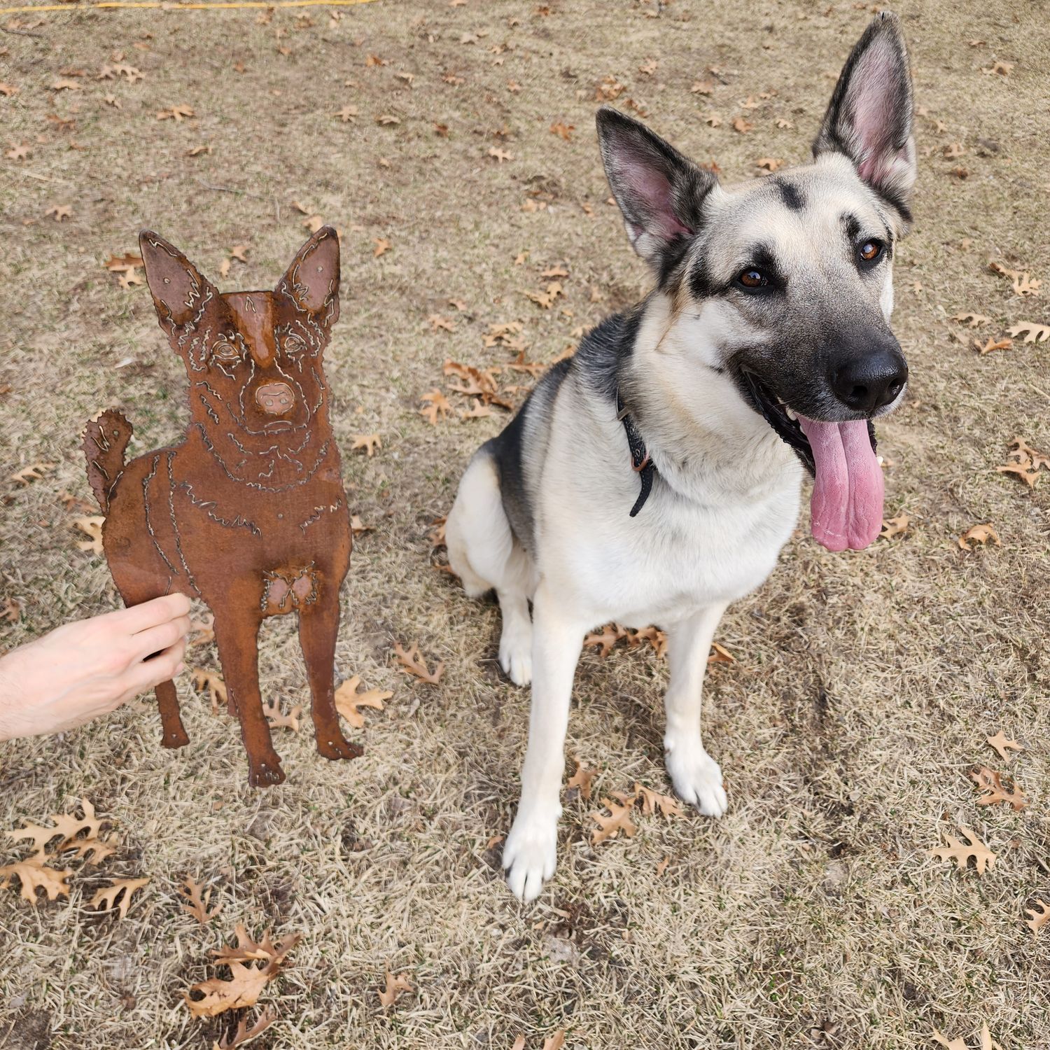 Custom Dog or Cat Sign