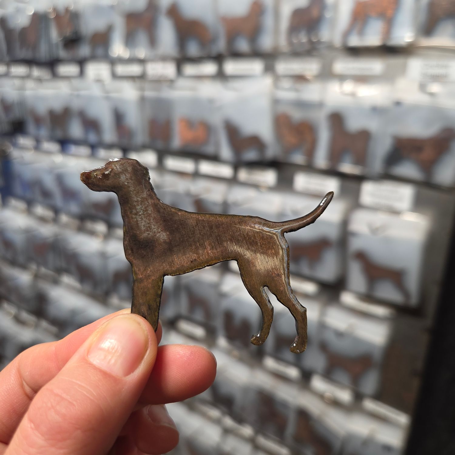 Dalmatian Dog Magnet