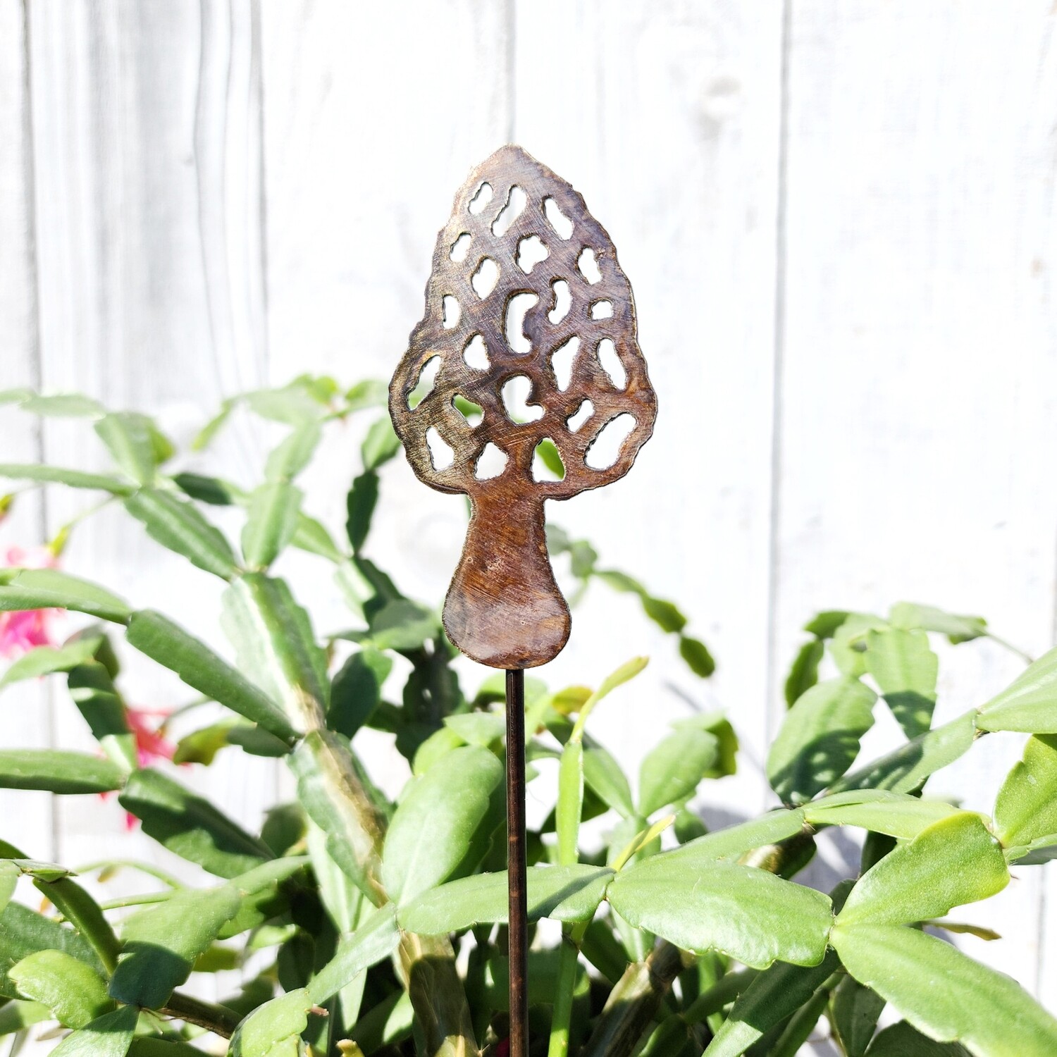 Small Morel Stake Small Morel Stake
