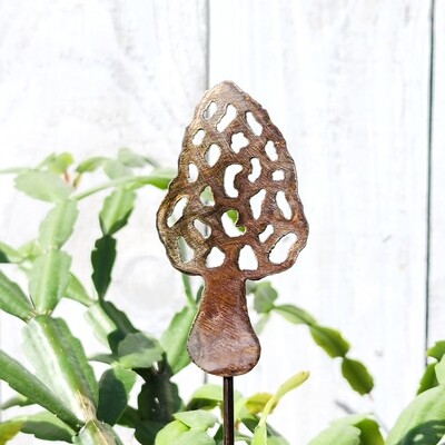 Small Morel Stake