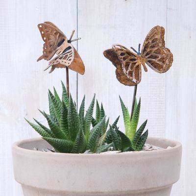 Monarch &amp; Swallowtail Butterfly Stake Set