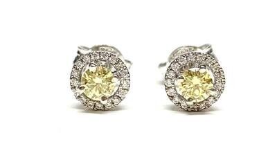 New 18ct White Gold Yellow and White Diamond Cluster Stud Earrings