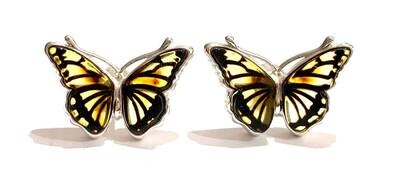 Silver Amber Butterfly Stud Earrings