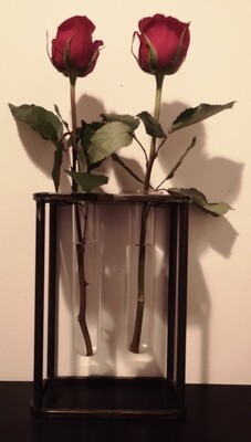 2 flower test tube vase