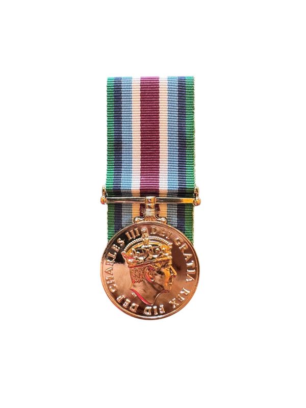 Wider Service Medal FULL SIZE Replica Medal Court Mounted