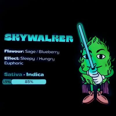 Skywalker 1ml Cartridge