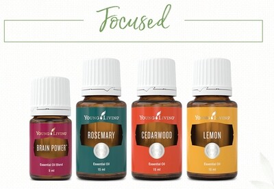 Focussed Oils Bundle - Automatic 24% Wholesale Discount Focussed Oils Bundle - Automatic 24% Wholesale Discount