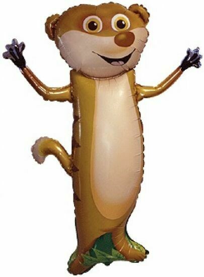 Cheeky Meerkat