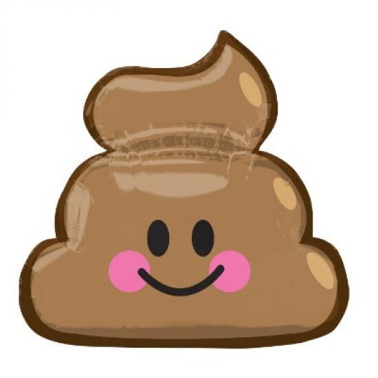 Giant Floating Doody