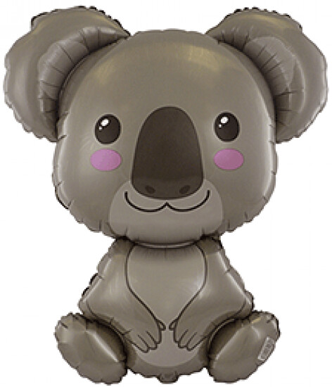 Koala