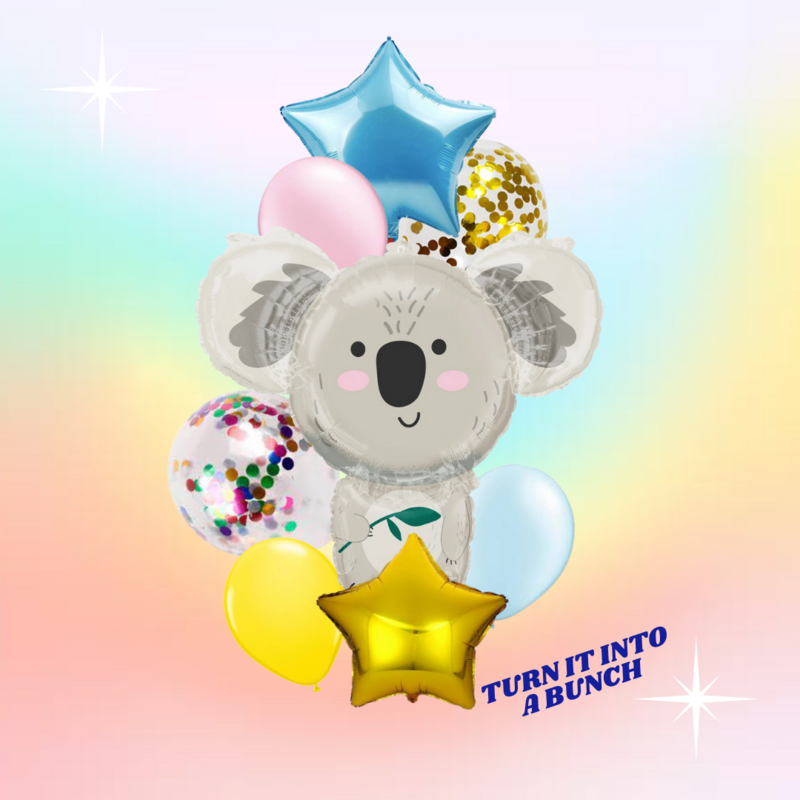 Shy Koala