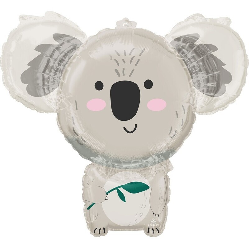 Shy Koala