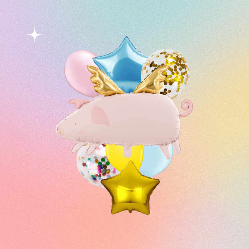 Flying Pig