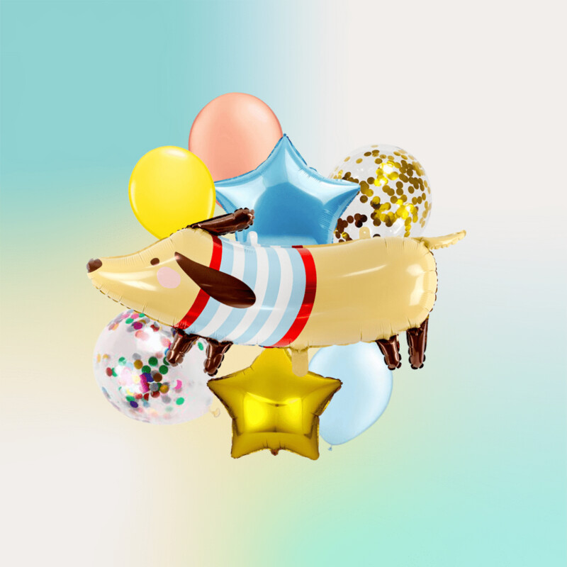 Dachshund